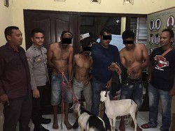 4 Pencuri Kambing Babak Belur Dihajar Warga