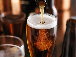 Benarkah Rutin Minum  Bir atau Wine Bisa Memperpanjang Usia? Ini Kata Ahli