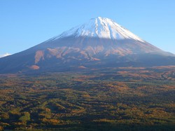 Sisi Lain Aokigahara, Hutan Bunuh Diri di Jepang