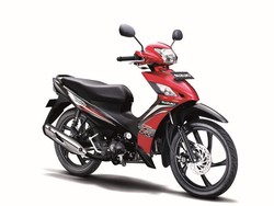 Suzuki Jual Bebeknya untuk Borongan
