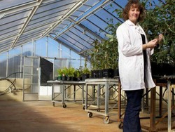 Peneliti Australia Temukan Cara Mencegah Jamuran Pada Makanan