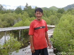 Cerita Baba Kong Ciptakan Hutan Mangrove, Sempat Dicibir Warga