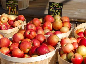 Sedang Diet? Ini 5 Makanan Sehat yang Bisa Sering Dikonsumsi