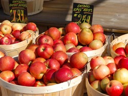 Sedang Diet? Ini 5 Makanan Sehat yang Bisa Sering Dikonsumsi