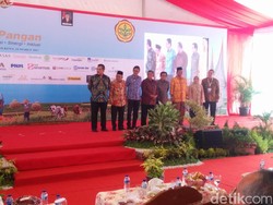 Curhat Gubernur Sumbar, Gambir Dimonopoli India dan Inggris