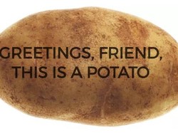Unik! Kentang Ini Dipakai untuk Kirim Pesan Tulisan dan Gambar