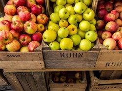 Ini 6 Makanan Khas Malang yang Bisa Jadi Buah Tangan Enak