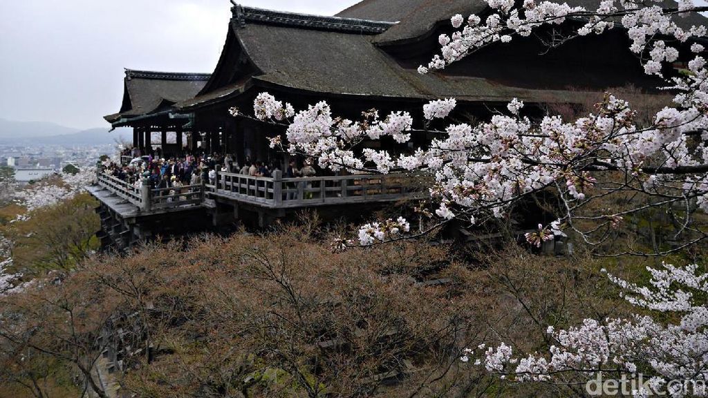 Cantiknya Sakura di Kyoto, Jadi Pengen ke Jepang! Cantiknya Sakura di Kyoto, Jadi Pengen ke Jepang!