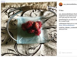 Teman Melinda Gates Geli Makan Rambutan