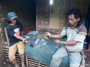 Hidup Terbatas, 2 Keluarga ini Jadikan Kalajengking sebagai Lauk