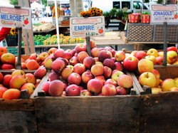 Sebelum Dimakan, Buah Apel Biasanya Disimpan Selama 10 Bulan