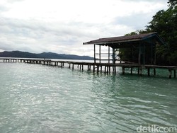 Pembangunan Infrastruktur Papua Dikebut