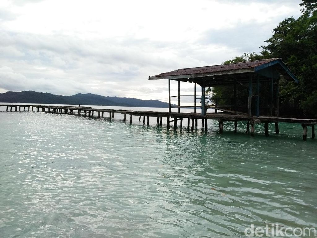 Pembangunan Infrastruktur Papua Dikebut Pembangunan Infrastruktur Papua Dikebut