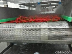 Temuan Dosen Undip ini Bisa Atasi Kelangkaan Cabai