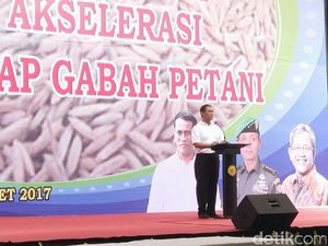 Mentan Minta Bulog Serap Gabah Kualitas Rendah Petani