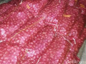 Kok Bisa Bawang Bombay Dijual Jadi Bawang Merah Palsu? Kok Bisa Bawang Bombay Dijual Jadi Bawang Merah Palsu?