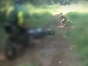 Heboh di YouTube, Makhluk Kecil Lincah di Belantara Aceh