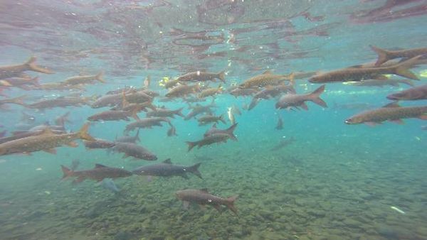 Beningnya Banyu Biru Pasuruan yang Bikin Takjub!