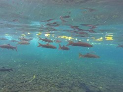 Banyu Biru Pasuruan Keren Banget, Tapi...