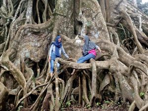 Pulang Kampung ke Jawa Timur, 5 Kota Ini Punya Destinasi Asyik Pulang Kampung ke Jawa Timur, 5 Kota Ini Punya Destinasi Asyik