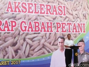 Mentan Naikkan Serapan Gabah dari 20.000 Ton/Hari jadi 30.000 Ton/Hari