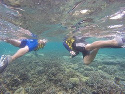 Begini Eksotisnya Maratua, Surga Tersembunyi di Kalimantan Timur