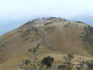 Pendaki Asal Selandia Baru Dilaporkan Hilang di Gunung Merbabu