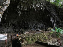 Heboh Soal Suku Mante, Ada Juga Cerita Manusia Kerdil di NTT