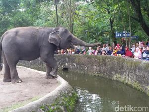 10 Hal yang Jangan Pernah Kamu Lakukan di Kebun Binatang