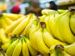 33 Jenis Pisang di Indonesia Beserta Ciri Khas dan Manfaatnya Bagi Kesehatan