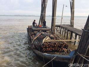 Polisi Tangkap Kapal Pembawa Kayu Jarahan yang akan Diselundupkan