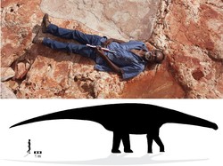 Jejak Kaki Dinosaurus Terbesar Ditemukan di Australia