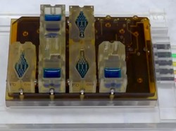 Di Piringan Ini, Peneliti Mereplikasi Siklus Menstruasi