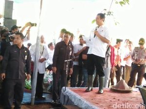 Ajak Petani Banten Tanam Jagung, Mentan: Agar RI Tak Perlu Impor