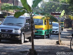 Jalan Penghubung Kecamatan Rusak Berat, Warga Tanam Pohon Pisang