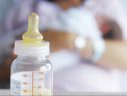 Kamboja Larang Ekspor ASI  ke AS