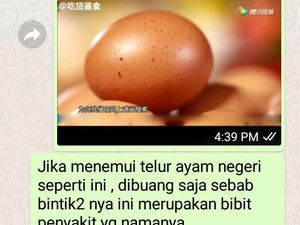 Penjelasan Soal Broadcast Bintik di Kulit Telur Bisa Bikin Penyakit