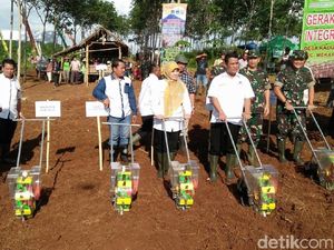 Begini Cara Kementan Ajak Pemuda Turun ke Sawah