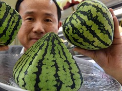 Wow! Semangka di Jepang Ini Dijual dengan Harga 336 Juta Rupiah