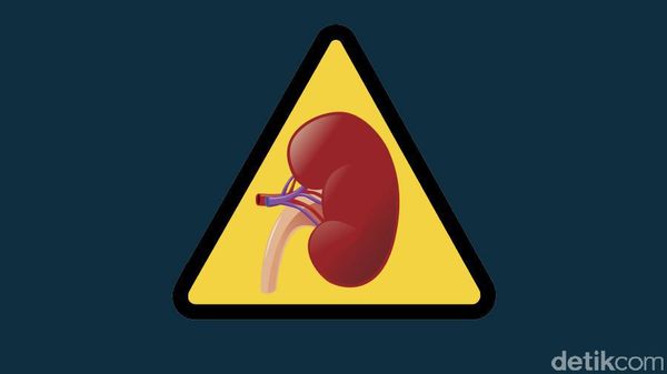 Kebiasaan Seperti Ini Tanpa Sadar Bisa Merusak Ginjal