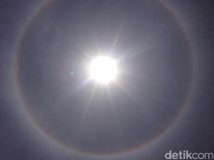 BPBD Sebut Pekanbaru Bakal Dilanda Kemarau 7 Bulan