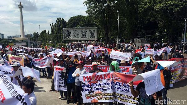Peternak Tuntut Pemerintah Kendalikan Harga Ayam dan Telur
