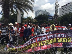 Demo Depan Istana, Peternak Ayam Keluhkan Harga Naik Turun Demo Depan Istana, Peternak Ayam Keluhkan Harga Naik Turun
