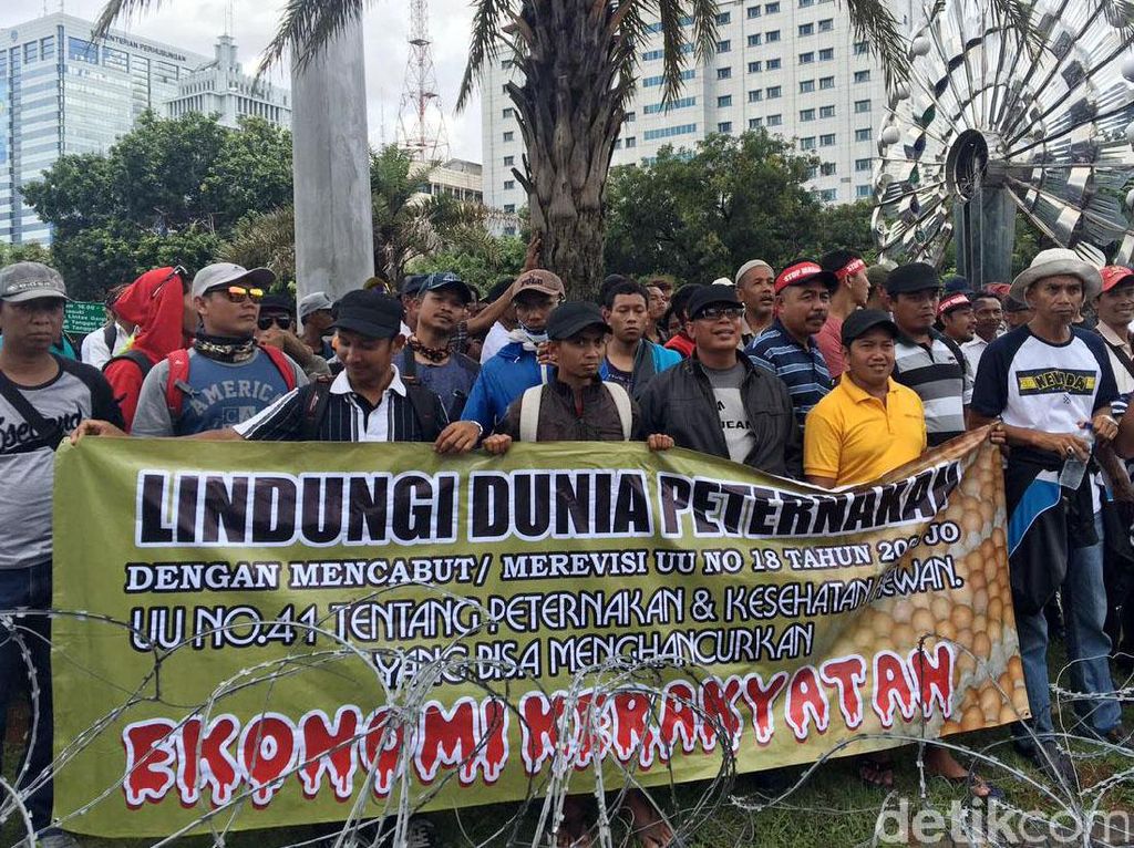 Demo ke Jakarta, Peternak Ayam Curhat Pasokan Jagung Minim