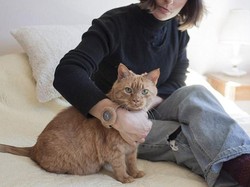 Ada Jam Tangan yang Bisa Dilapisi Bulu Hewan Peliharaan, Tertarik Punya?