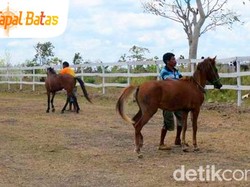 Nawacita Jokowi-JK: Membangun Indonesia dari Perbatasan