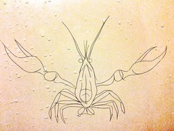 Keren, Wanita Ini Buat Lukisan Pakai Helaian Rambut Rontok