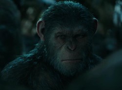 Di Reboot Planet of The Apes, Andy Serkis Bicara Peran Sebagai Kera