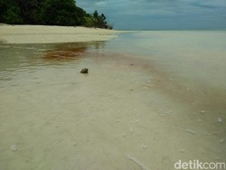 Saat Air Laut Derawan Berubah Jadi Pink dan Berbahaya!