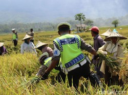 Polantas Imbau Petani di Aceh Besar Tak Bakar Jerami di Tepi Jalan